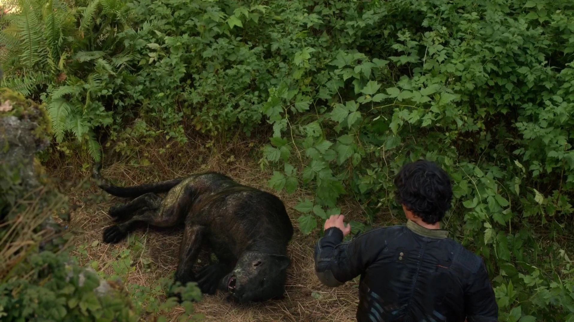 Image - The100-102 0972.jpg | The 100 Wiki | FANDOM powered by Wikia