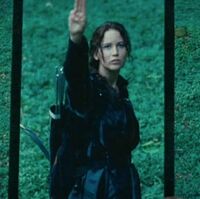 I Volunteer Hunger Games Quotes Hunger Games Humor Hunger Games
