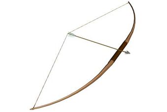 standard bow and arrow