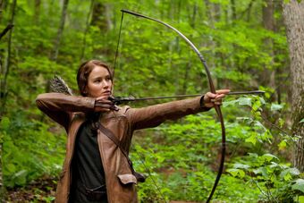 where to get a bow and arrow