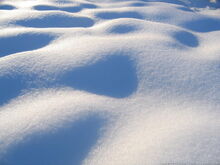 Snowcoat