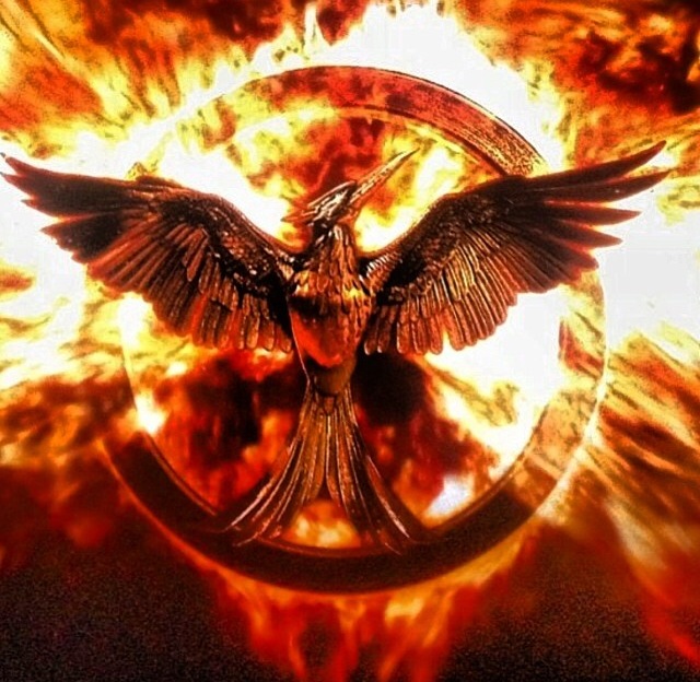 Image result for mockingjay