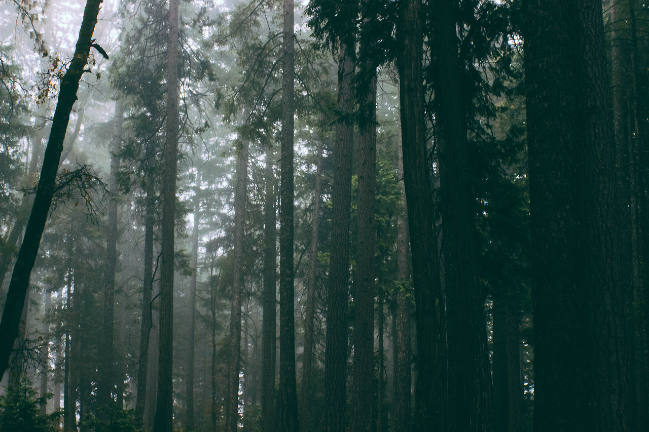 image tumblr mvkij3xwyb1r12vu5o1 1280 jpg the hunger games wiki tumblr photo size