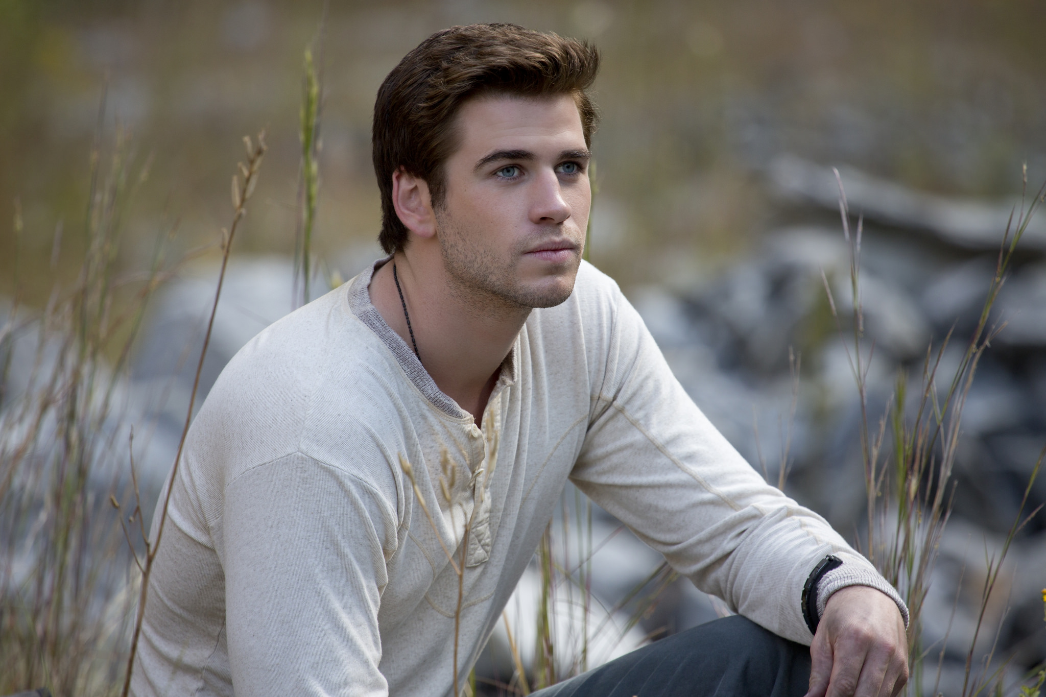 Gale Hawthorne | The Hunger Games Wiki | Fandom