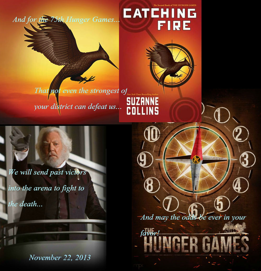 download the new for windows The Hunger Games: Catching Fire