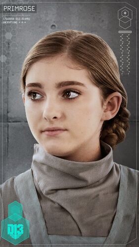 Primrose Everdeen | The Hunger Games Wiki | Fandom