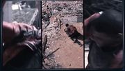 Film73HG