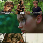 Being In The Hunger Games Meme Hunger Games Fandom