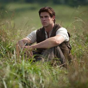Discuss Everything About The Hunger Games Wiki Fandom