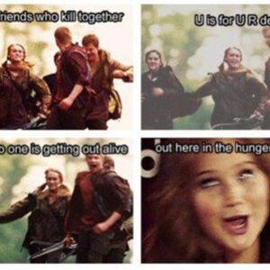 The Hunger Games Memes