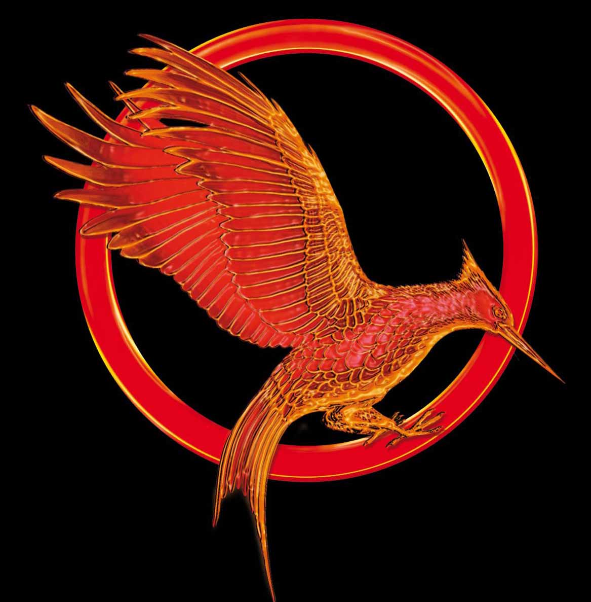 Image - Catchingfire.jpg | The Hunger Games Wiki | FANDOM powered by Wikia