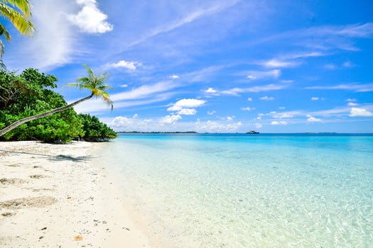image le beach jpeg the hunger games wiki fandom powered by wikia