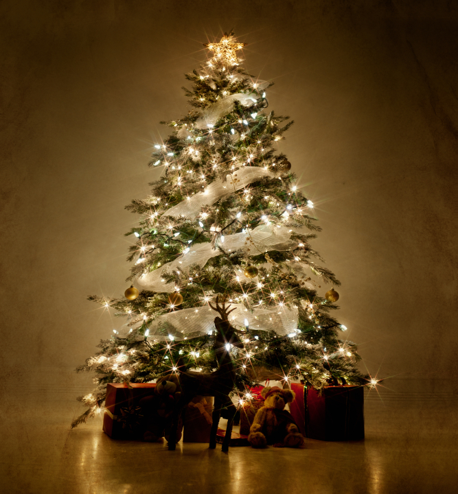 Image Christmas Tree Jpg The Hunger Wiki Fandom Ed Christmas Tree Jpg