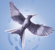 Mockingjay from 3rd book cover