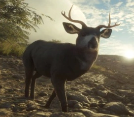 Maultierhirsch | TheHunter Call of the Wild Wiki | Fandom