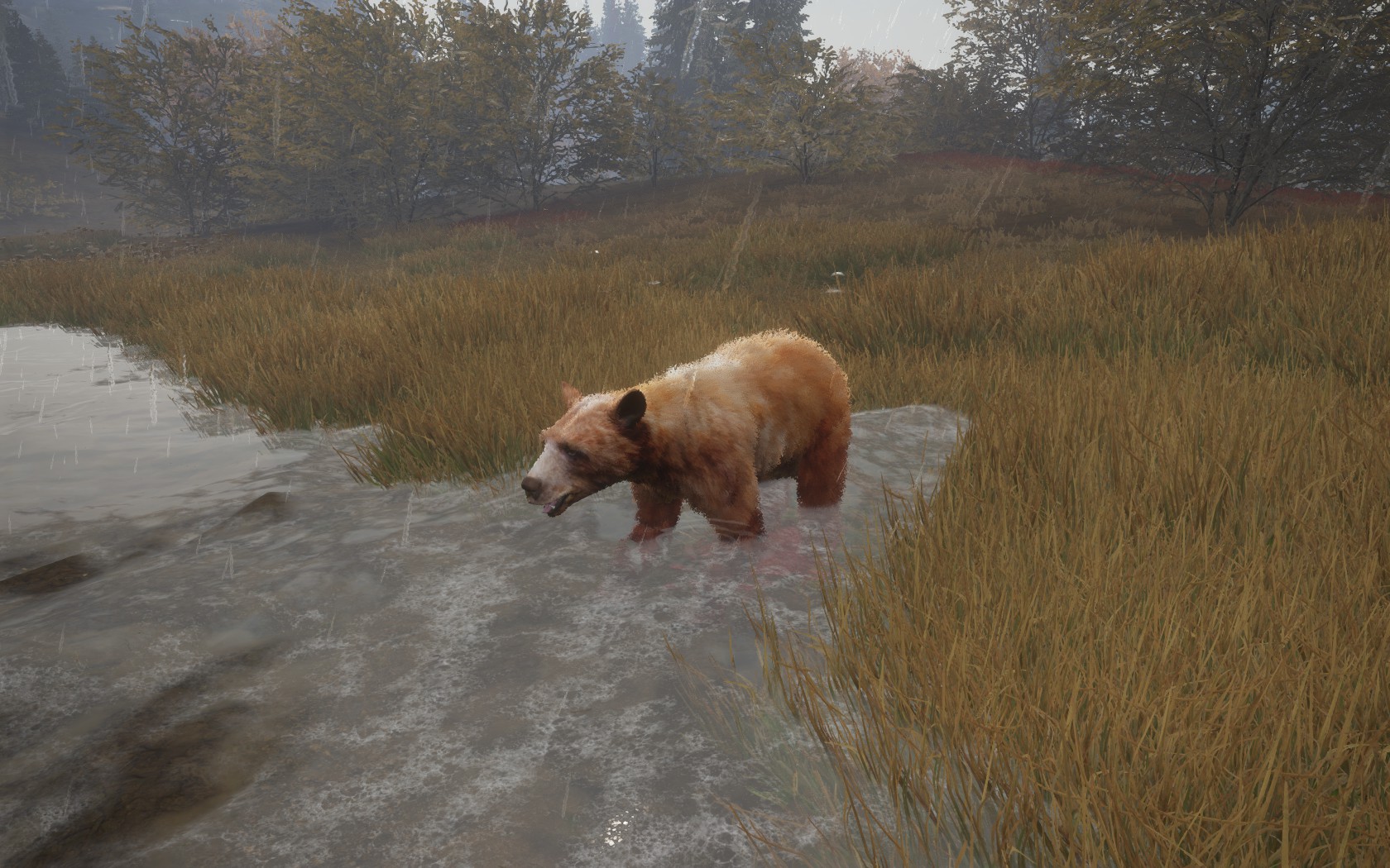 Call Of The Wild Tipps Call Of The Wild Tipps