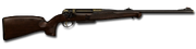 Bolt action rifle anschutz engraved 93x62 1024