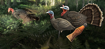 Turkey decoys 01