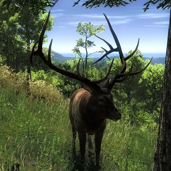 Roosevelt Wapiti TheHunter Wikia FANDOM powered by Wikia