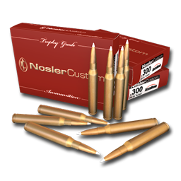 Cartridges 300 256