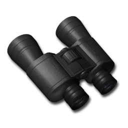 Binoculars black 256