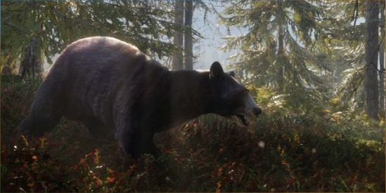 the hunter call of the wild diamond black bear