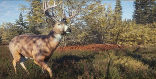 the hunter call of the wild diamond whitetail deer