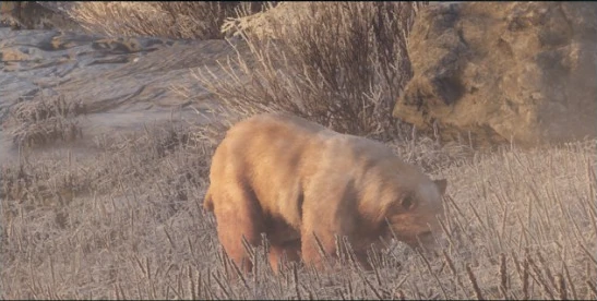 all about rare animals | unique animals and more....: The Hunter Call