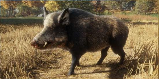 the hunter call of the wild boar map the hunter call of the wild boar map