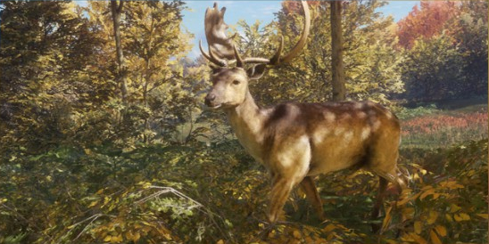 Fallow Deer | TheHunter: Call of the Wild Wiki | FANDOM powered by Wikia