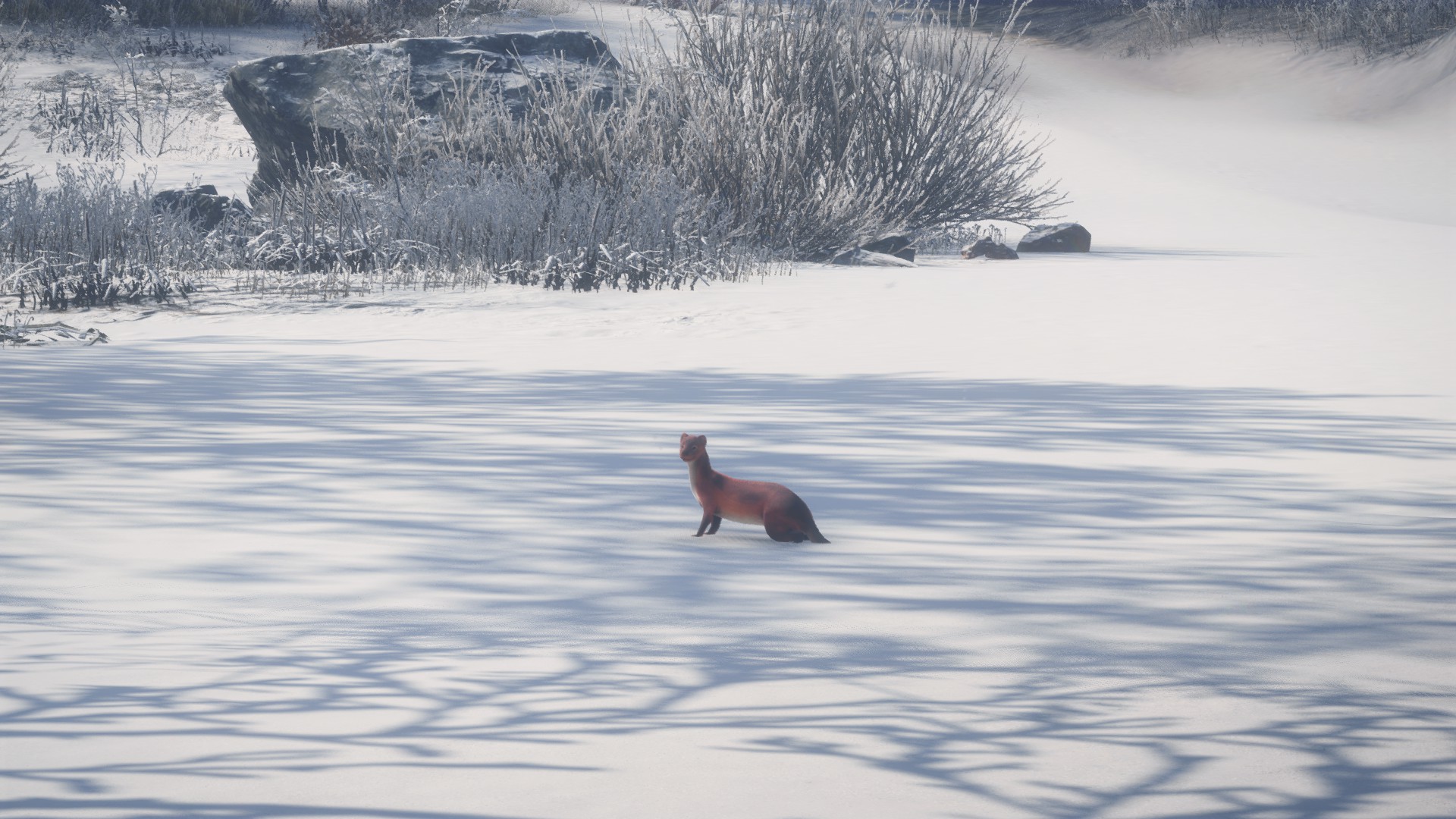 thehunter call of the wild save game editor thehunter call of the wild save game editor