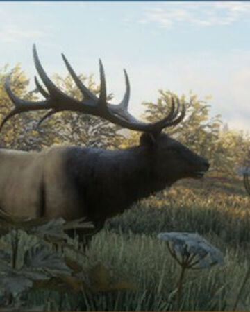 Roosevelt Elk Thehunter Call Of The Wild Wiki Fandom