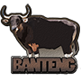 Banteng badge