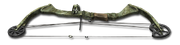Compound bow 1024