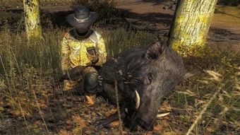Hunting Tactics Wild Boar The Hunter Wikia Fandom