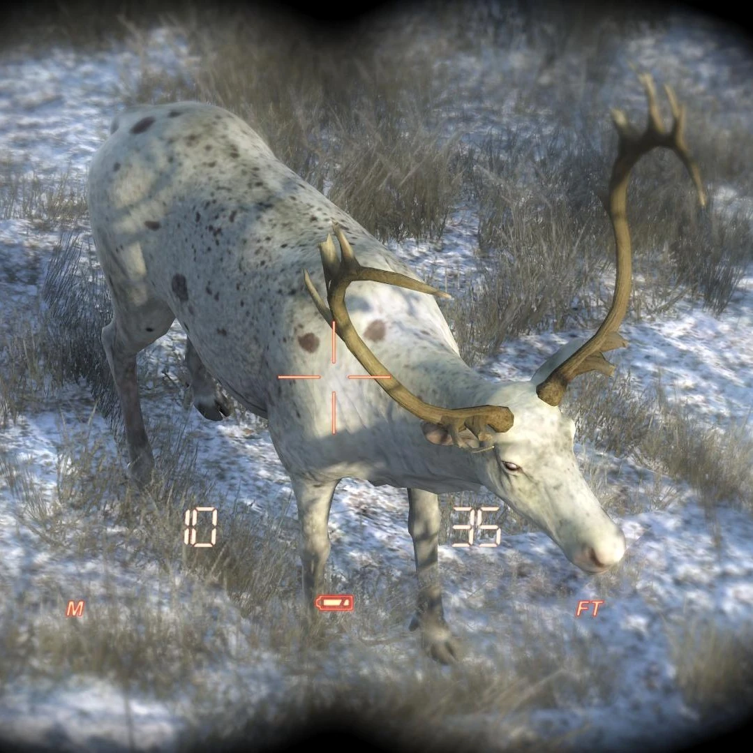 Image Species Reindeer D piebald.jpg The Hunter Wikia FANDOM