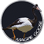 Magpie goose badge