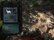 Huntermate bedding muledeer