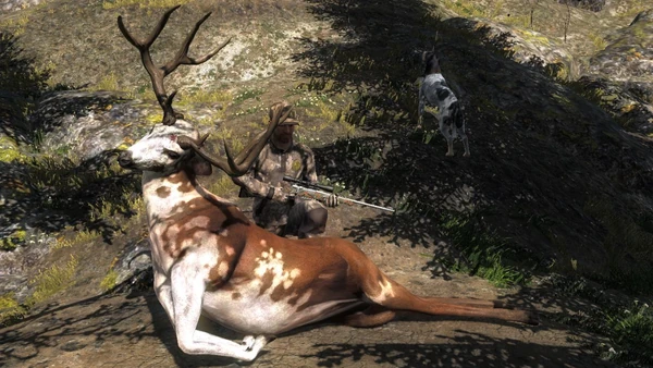 Super Rare Animal Gallery | The Hunter Wikia | Fandom