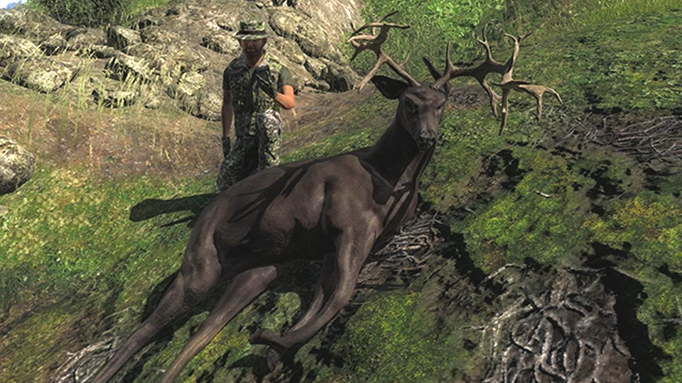 Image D4rkL0rd non typical melanistic wt.png The Hunter Wikia