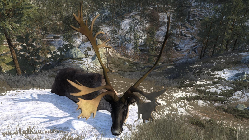thehunter call of the wild pc how to equip lures