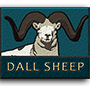 Dall sheep badge