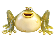 Bob