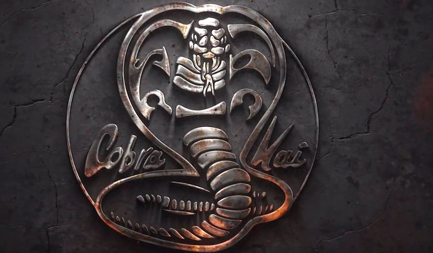 Cobra Kai | The Karate Kid Wiki | FANDOM powered by Wikia