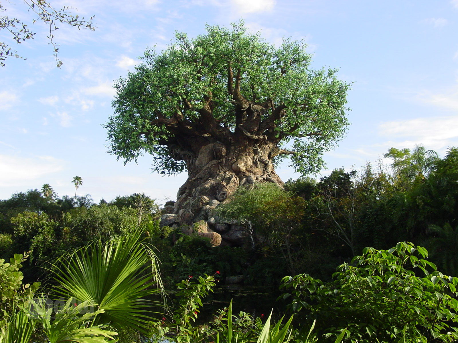 Disney