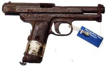 Gun