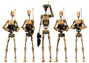 B1 line up