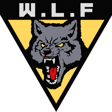 Washington Liberation Front The Last Of Us Wiki Fandom