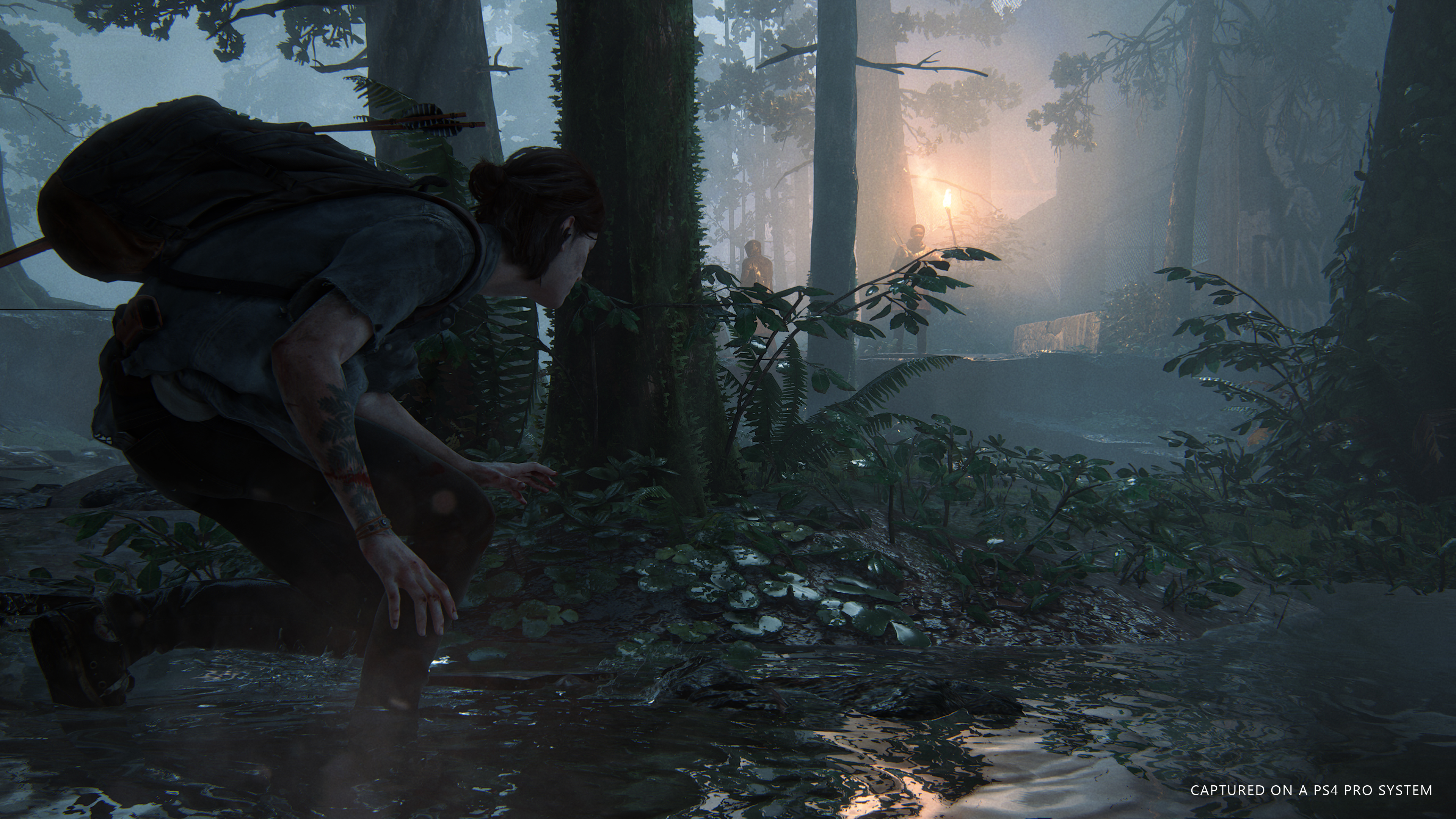 The Last Of Us Part Ii The Last Of Us Wiki Fandom