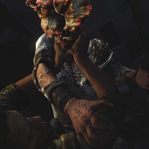 Tess The Last Of Us Wiki Fandom